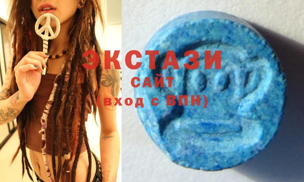индика Надым