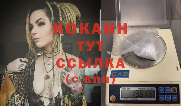 индика Надым