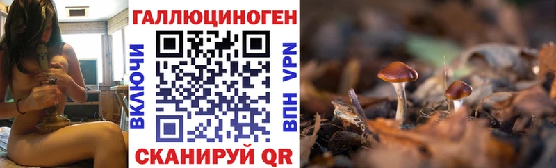 Галлюциногенные грибы Cubensis  KRAKEN вход  Нолинск 